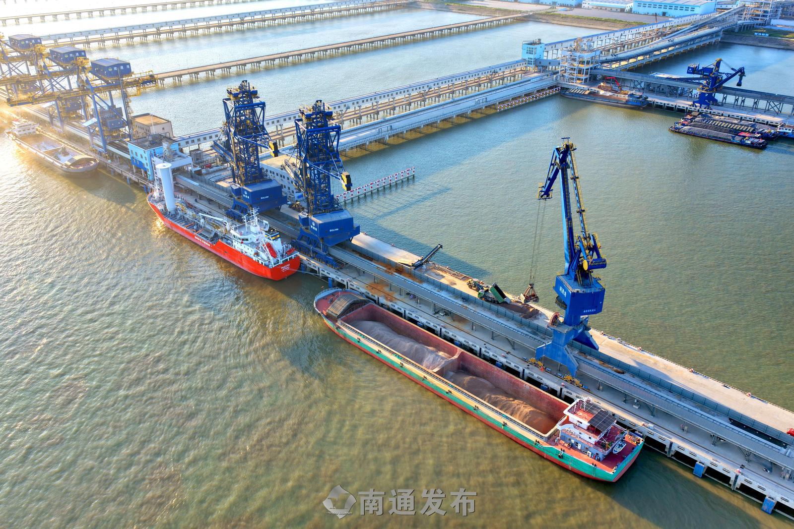 长江干线最大粮油专用码头生产忙